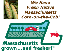 We have Fresh Native Massachusetts Corn-on-th-Cob!